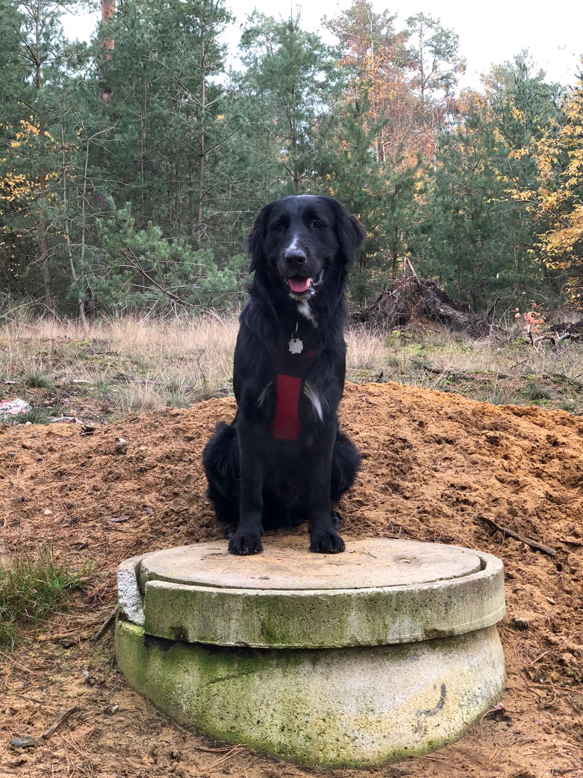 Balu